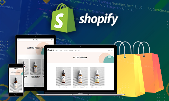 A Comprehensive Guide To Using Theme Kit In Shopify Custom Development