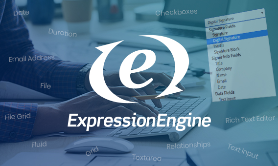 ExpressionEngine Field Type