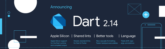 View of Dart 2.14 new version